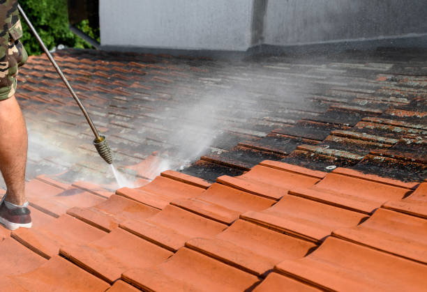 Best Best Pressure Washing Companies  in Mayfield, OH